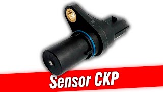 Sensor de POSICIÓN de CIGUEÑAL CKP 🔴 Funcionamiento FALLAS COMUNES Soluciones y MANTENIMIENTO [upl. by Aldarcie]