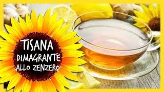 Tisana dimagrante allo Zenzero ricetta per dimagrire [upl. by Ynot]