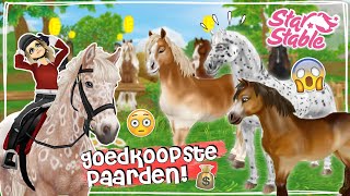 DIT ZIJN DE GOEDKOOPSTE PAARDEN OP STAR STABLE OOIT 😱💸  Star Stable Online  Daphne draaft door [upl. by Chari]