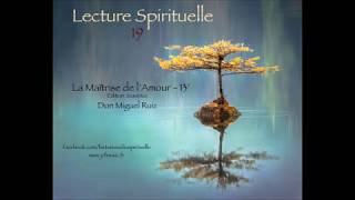 Lecture 19  Extrait quotLa Maîtrise de lAmourDon Miguel Ruiz [upl. by Aneleasor]