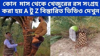 Khejurer Roshখেজুর গাছখেজুরের বাগানখেজুরের রস সংগ্রহসৌদির খেজুর গাছের রসKhajur Gacher RoshRosh [upl. by Acined]