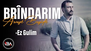 Awazê Bazîde  Ez Gulim  Brîndarim Official Music Gulim Gula Ber Bihare [upl. by Llirred]