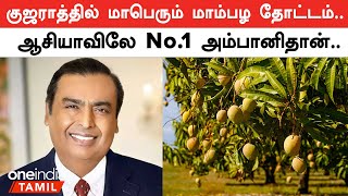 Reliance become Indias largest mango exporter  Mukesh Ambani  Oneindia Tamil [upl. by Alym]