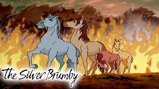 The Silver Brumby  Escape From The Fire  Full Episode  Videos For Kids  Videos For Kids [upl. by Arleyne]