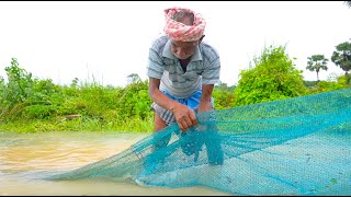 Amazing rainy day net fishing amp cooking  Catching fish in flood water  village fishing [upl. by Fachan]