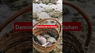 Namulot Ng isda SA bato [upl. by Carla]