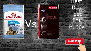 Royal Canin Vs Drools Focus [upl. by Beverle176]