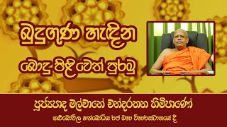 පූජ්‍ය මල්වානේ චන්දරතන හිමි  Ven Malwane Chandarathana Thero [upl. by Ennaear46]