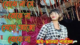 bojena she bojena ajo keno bojenaবোঝেনা সে বোঝেনা। আজো কেনো বোঝেনা।Bangla viral song Salma Parbin [upl. by Fontana]