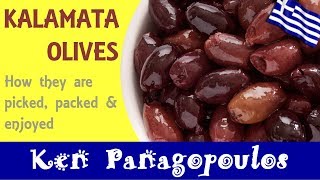 Kalamata Olives  How Kalamata Olives Are Prepared amp Enjoyed [upl. by Thessa644]