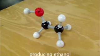 R349 Outline the Substitution Reactions of Halogenoalkanes Sn1Sn2 HL IB Chemistry [upl. by Ahsiram]