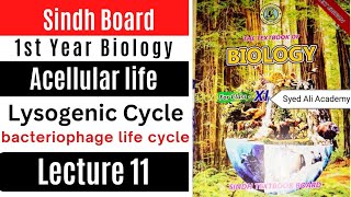 lysogenic cycle  acellular life  1st Year biology Sindh text book board new Book class 11 [upl. by Gnagflow]