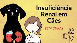 Insuficiência Renal Crônica em Cães tem tratamento [upl. by Ahsii]