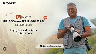 Sony FE 300mm F28 GM OSS A fantastic nocturnal lens  By Dhritiman Mukherjee [upl. by Evita394]