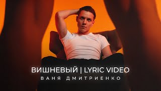 Ваня Дмитриенко  Вишнёвый Lyric Video [upl. by Mendie]