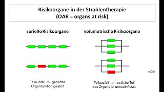 Risikoorgane in der Strahlentherapie OAR  Strahlentherapie Prof Hilke Vorwerk [upl. by Homer520]