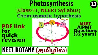 Chemiosmotic hypothesis How ATP molecules are synthesized during light reaction in photosynthesis [upl. by Marriott]