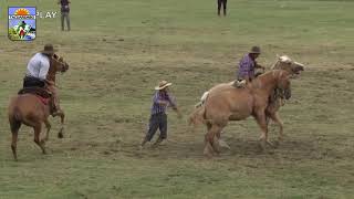 Rueda Jineteadas Mujeres Patria Gaucha 2019 [upl. by Errol]