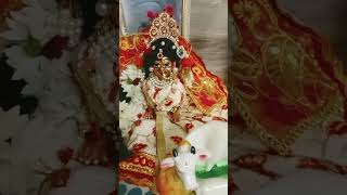 Radha nachegi Murali bajegi love radhakrishna 🦚 [upl. by Rina836]