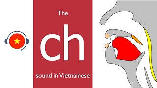 🇻🇳 Vietnamese ch sound Learn sound system in Vietnamese Vietsound [upl. by Anier]