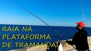 RAIA PESCADA NA PLATAFORMA MARÍTIMA DE TRAMANDAÍ [upl. by Perle]