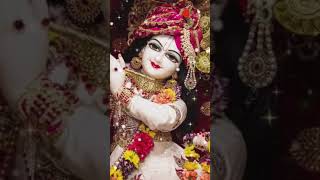 Zamane Ki Sari Khusi Mil Gayi hai💞🥀 lovemusiclovesongradhakrisnastatuspopularsongradhekrishna [upl. by Noj]