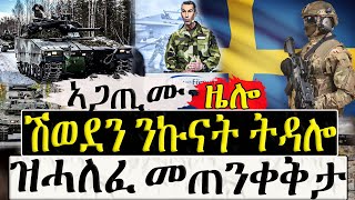 Dasna Tv   እዋናዊ ዛዕባ   ሽወደን ንኩናት ትዳሎ  11012024 [upl. by Ronacin537]