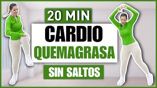 RUTINA DE CARDIO PARA ADELGAZAR TODO EL CUERPO  CARDIO QUEMAGRASA SIN SALTOS  NatyGlossGym [upl. by Leontyne525]