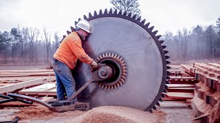 19 Amazing Fastest Big Wood Sawmill Machines Working At Another Level [upl. by Elok]