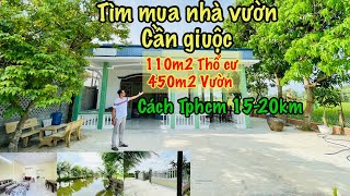 Nhà vườn Cần giuộcphong cảnh hữu tình với dòng sông vườn lúa cây ăn trái Chỉ có tại đây [upl. by Yellac]