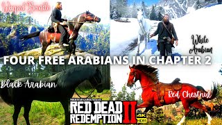 Red Dead Redemption 2  Four Free Arabian Horse in Chapter 2  Rare Horses Location  RDR2 [upl. by Flo277]