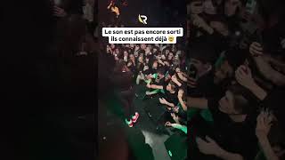 GAZO concert gazo le son est pas encore sortie ils connaissent déjà 🐐🦍 [upl. by Hgielar]