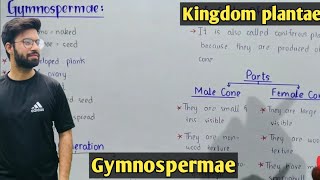 Life cycle of pinus  gymnosperms Characteristics  Class 11 Biology [upl. by Ingeberg49]