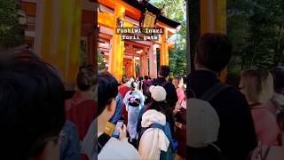 Inari Torii gate Kyoto [upl. by Ahsieuqal]