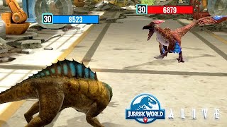 MEGALOCEVIA vs ALLORAPTOR 😅 JURASSIC WORLD ALIVE [upl. by Eornom]