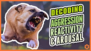 Aggression Reactivity and Arousal  Decoding Canine Behavior [upl. by Dahraf]