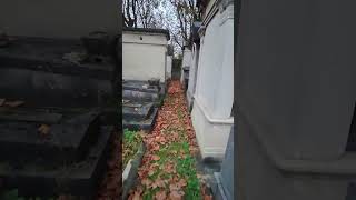 ASMR French Cemetery Whisper old stone Cimetière Montparnasse  Montparnasse Cemetery S52🪦1 [upl. by Trub513]