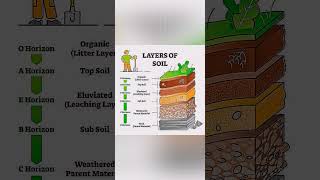 how to make soil profile [upl. by Nelrsa]