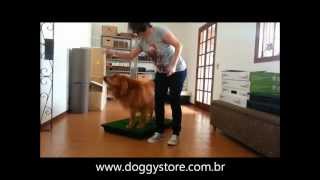 Ecopatio Pet  Sanitário Canino  Teste para Cães Grandes [upl. by Leiand]