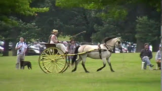 Sallie Walrond drives cones and skills Helmingham Hall Concours dAttelage [upl. by Sethi]