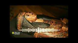 SCIENTISTS RECREATE MUMMIES VOICE bruh [upl. by Spenser626]