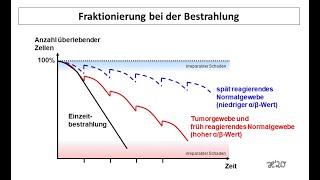 Fraktionierung beim Mammakarzinom  Strahlentherapie Prof Hilke Vorwerk [upl. by Barraza578]