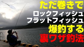 アピアの新商品リグを使ってマゴチ・キジハタなど底モノの魚を釣る！ [upl. by Nameerf301]