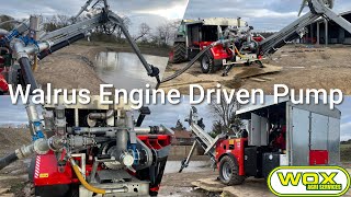 Walrus Engine Driven Pump  Wox Agri Services [upl. by Anowahs]