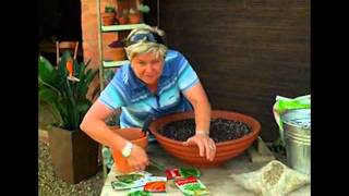 Making Mini Herb Garden [upl. by Edbert]