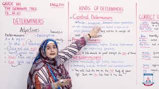 Class 8 English  The Grammar Tree  Lecture 1  Determiners  Allied Schools [upl. by Adnawahs97]