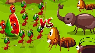 Fun Baby Panda Ant Colonies  Baby Super Fun Learn About Ant Life Ant Solider amp Ant Queen Fun [upl. by Pyszka]