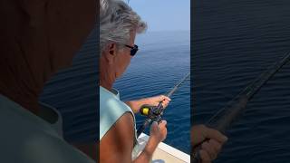 fish fishing tilefish offshorefishing atlantic fight funny viralvideo [upl. by Romola]