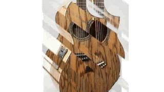 Ibanez EW20ZWE EXOTIC WOOD SERIES Zebrawood AcousticElectric Guitar Natural [upl. by Koch]