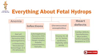 Everything About Fetal Hydrops [upl. by Sergent708]